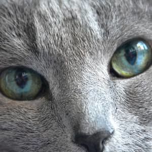 Meet your Posher, Florence